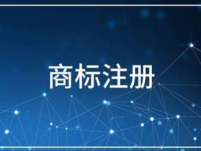 白山商标注册